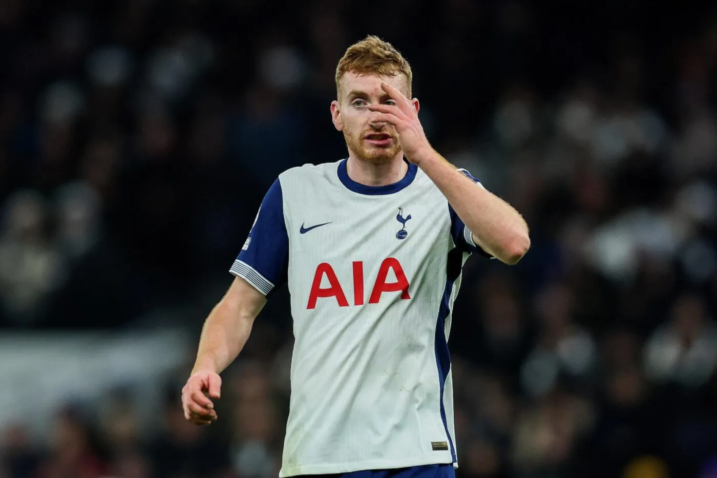 Tottenham : Spurs sur la ville