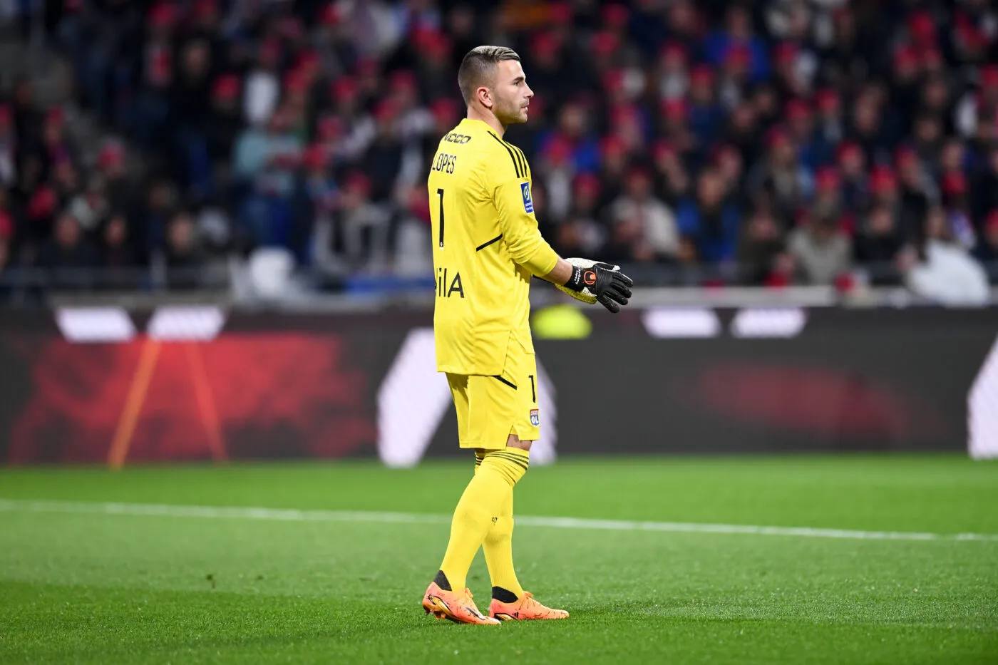 Anthony Lopes, solide comme un Gone