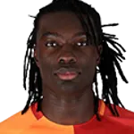 Photo du joueur Bafetimbi Gomis