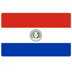 Logo de l'équipe Paraguay