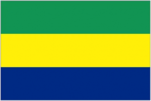 Logo de l'équipe Gabon
