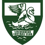 Logo de l'équipe Leatherhead