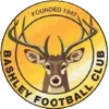 Logo de l'équipe Bashley