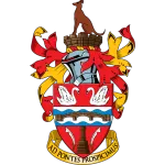 Logo de l'équipe Staines Town