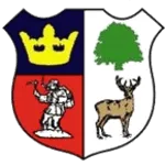 Logo de l'équipe Cinderford Town