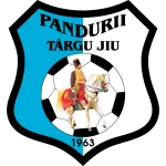 Logo de l'équipe Pandurii Târgu Jiu