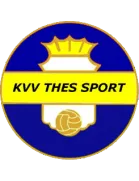 Logo de l'équipe Thes Sport