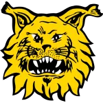 Logo de l'équipe Ilves