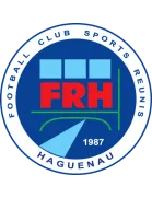 Logo de l'équipe Haguenau