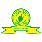 Logo de l'équipe Mamelodi Sundowns