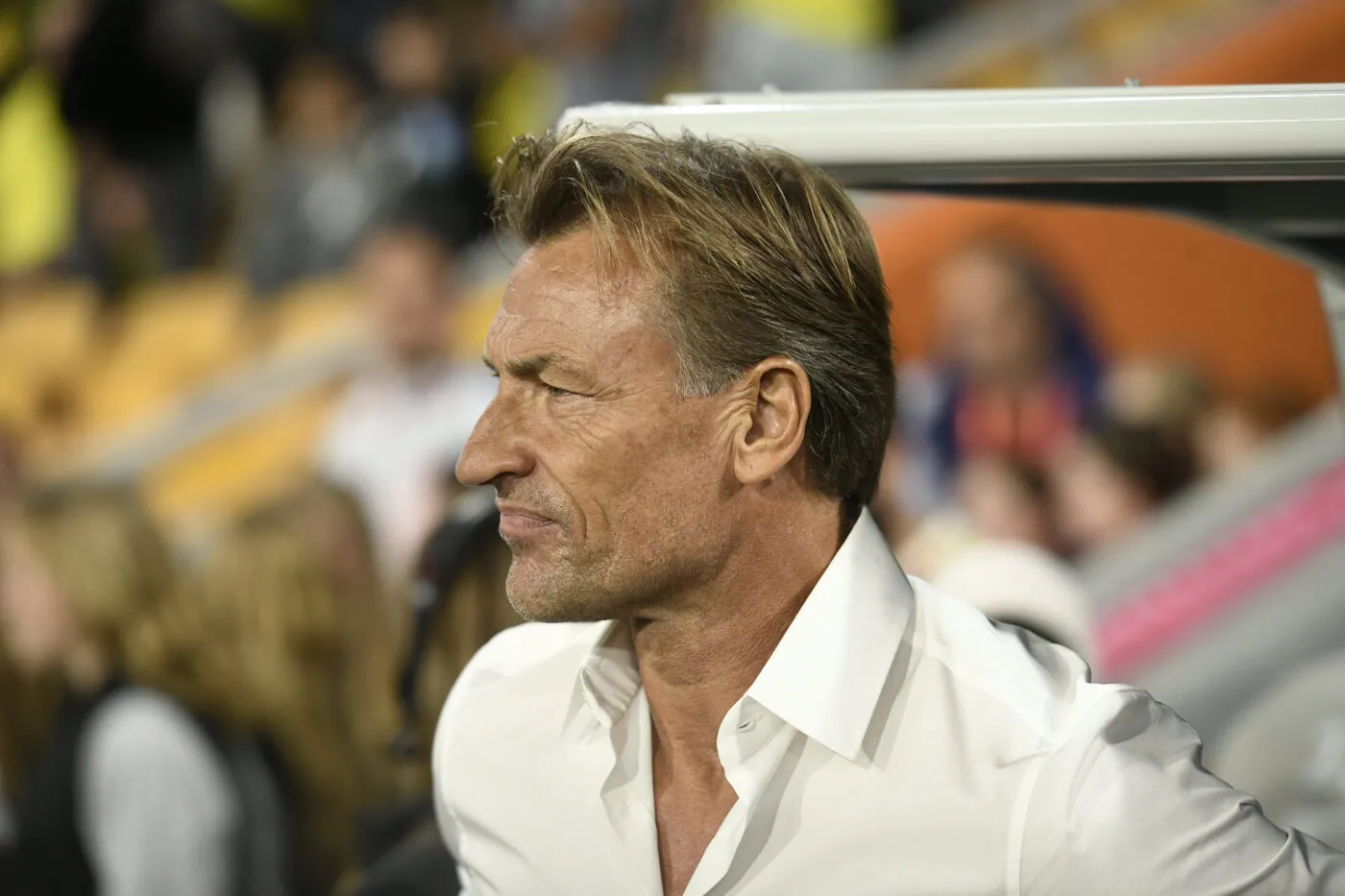 Hervé Renard conseille aux entraîneurs français de « s&rsquo;exporter »