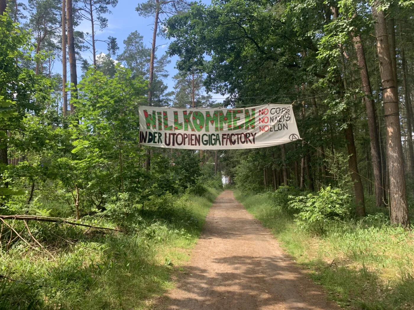 Grünheide, l’Appel de la forêt