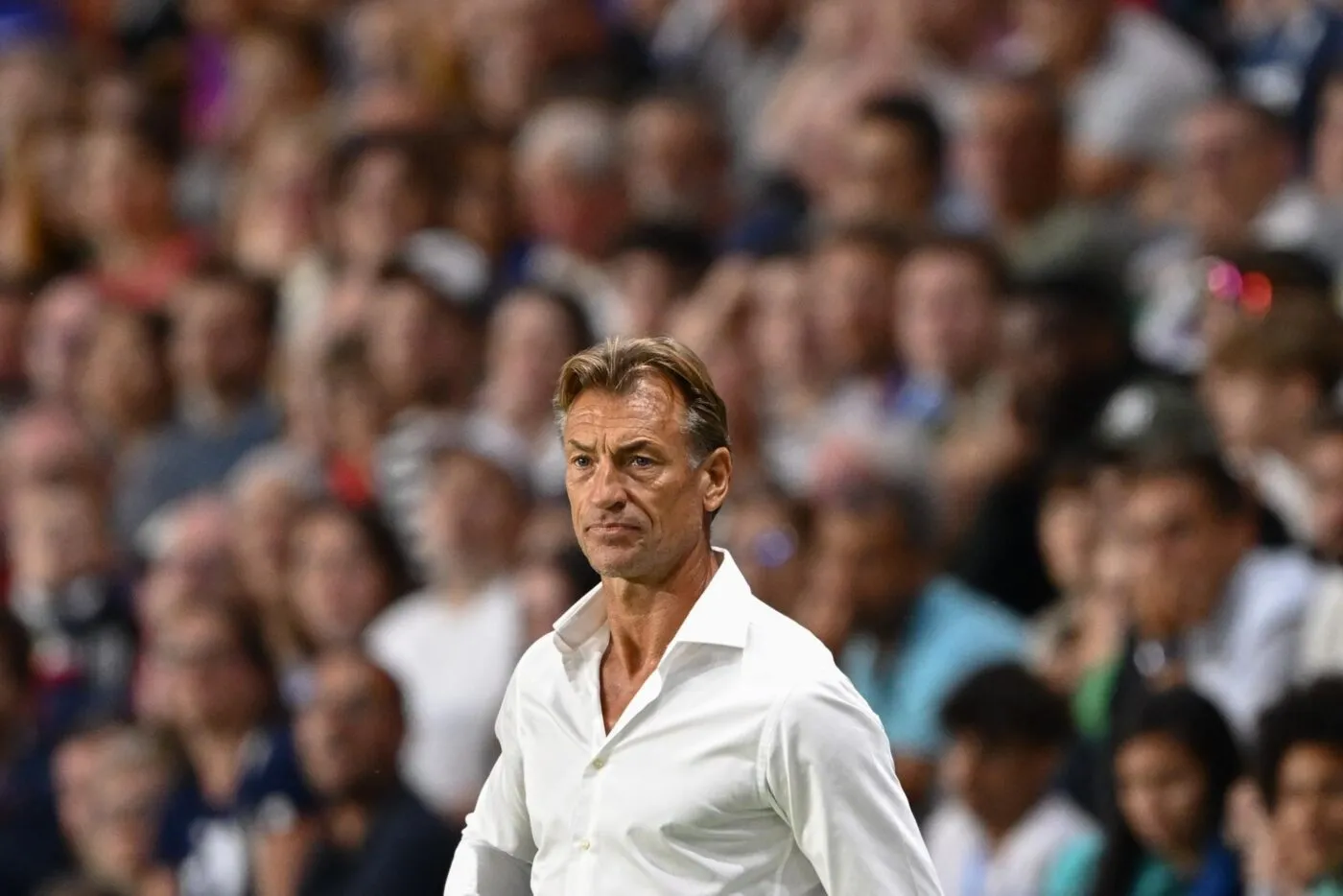 Hervé Renard : « Il faut parfois savoir avaler des couleuvres »