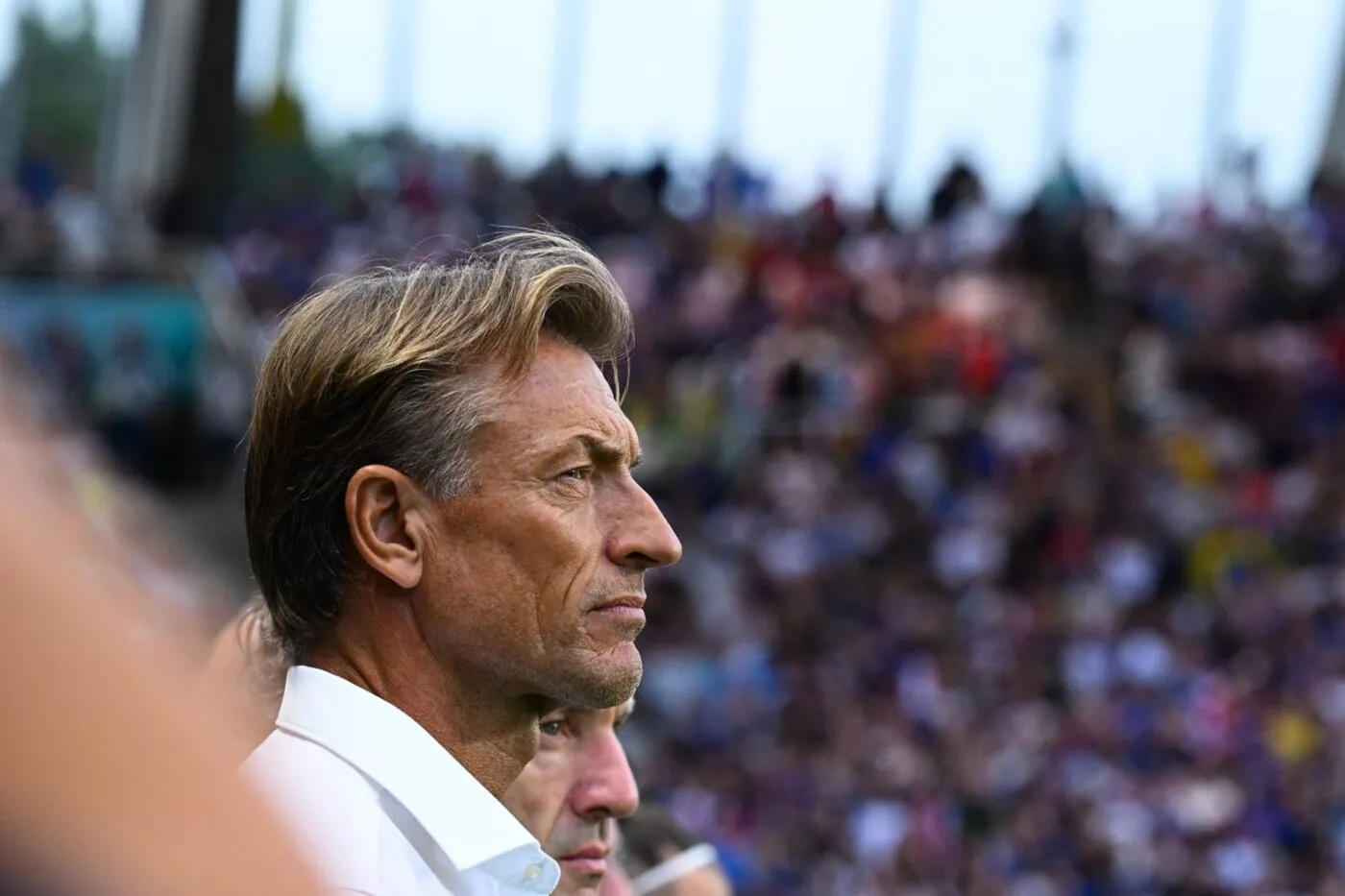 Hervé Renard devrait revenir en Arabie saoudite