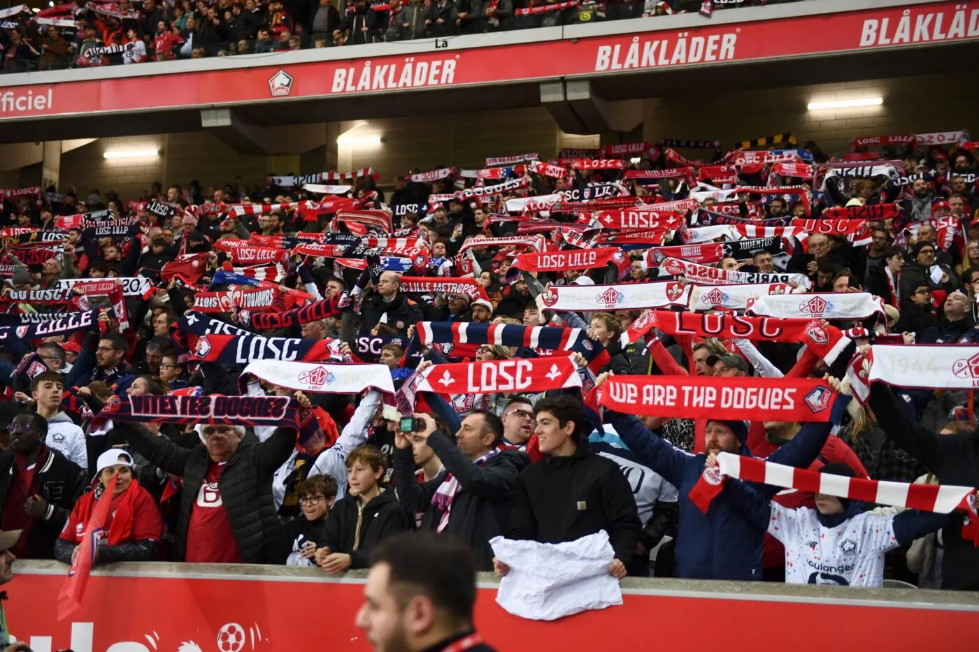 Des supporters lillois agressés à Bologne