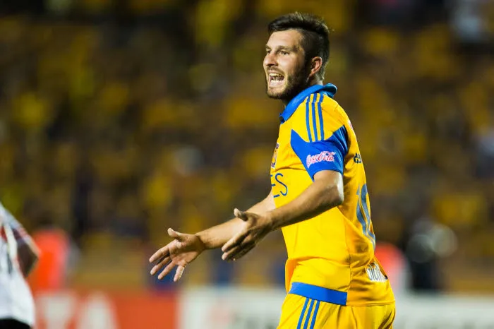 Premier revers pour Gignac et les Tigres