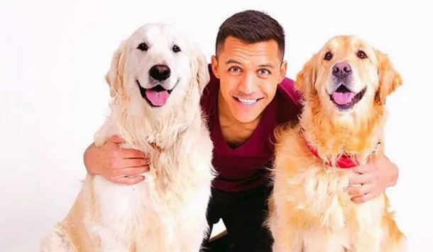 Les fans d&rsquo;Arsenal et les chiens de Sánchez