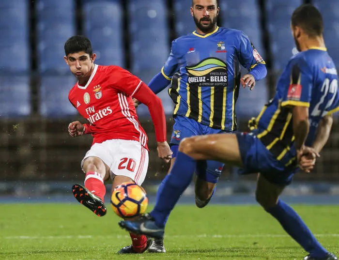 Vingt choses à savoir sur Gonçalo Guedes