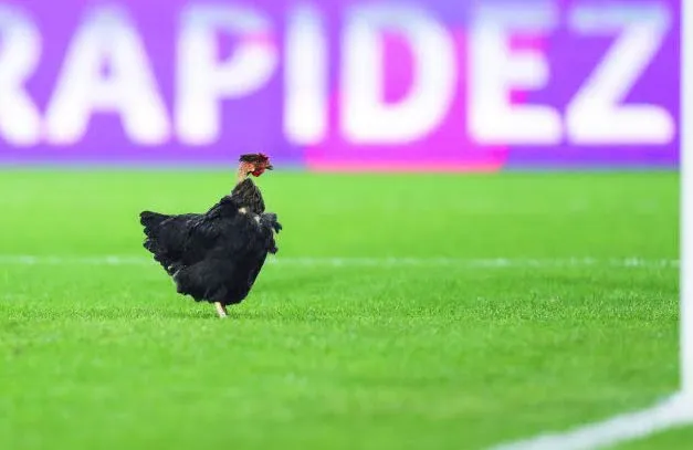 Des supporters de Braga lancent un poulet sur le terrain