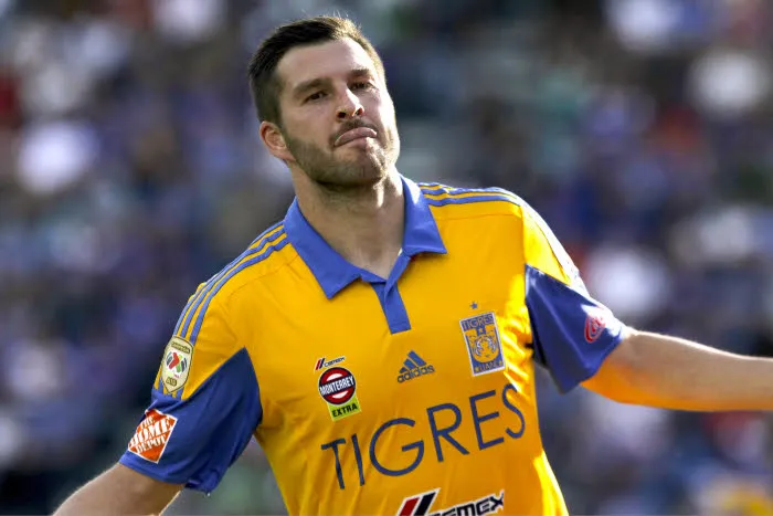 Les Tigres de Gignac en finale de la Ligue des champions