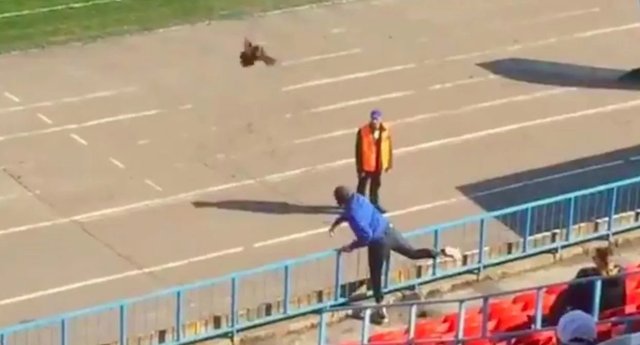 Ce que ce poulet fait dans un stade de D2 russe va vous bouleverser