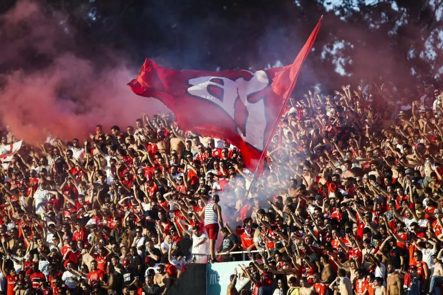 Le Benfica Lisbonne champion du Portugal