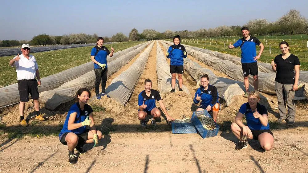 En Allemagne, l&rsquo;équipe féminine de Sand aide à la récolte des asperges