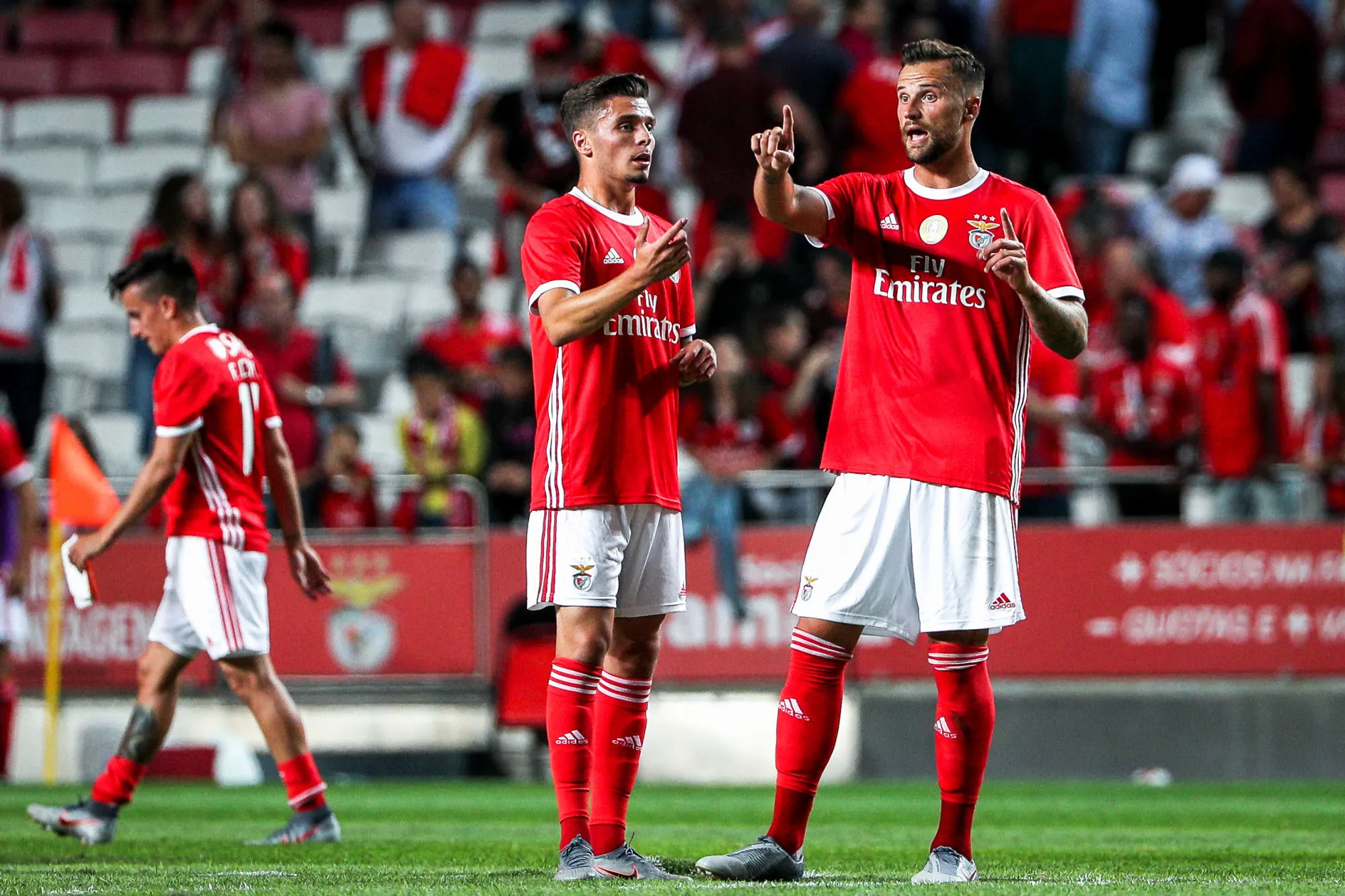 Pronostic Benfica Tondela : Analyse, prono et cotes du match de Primeira Liga NOS