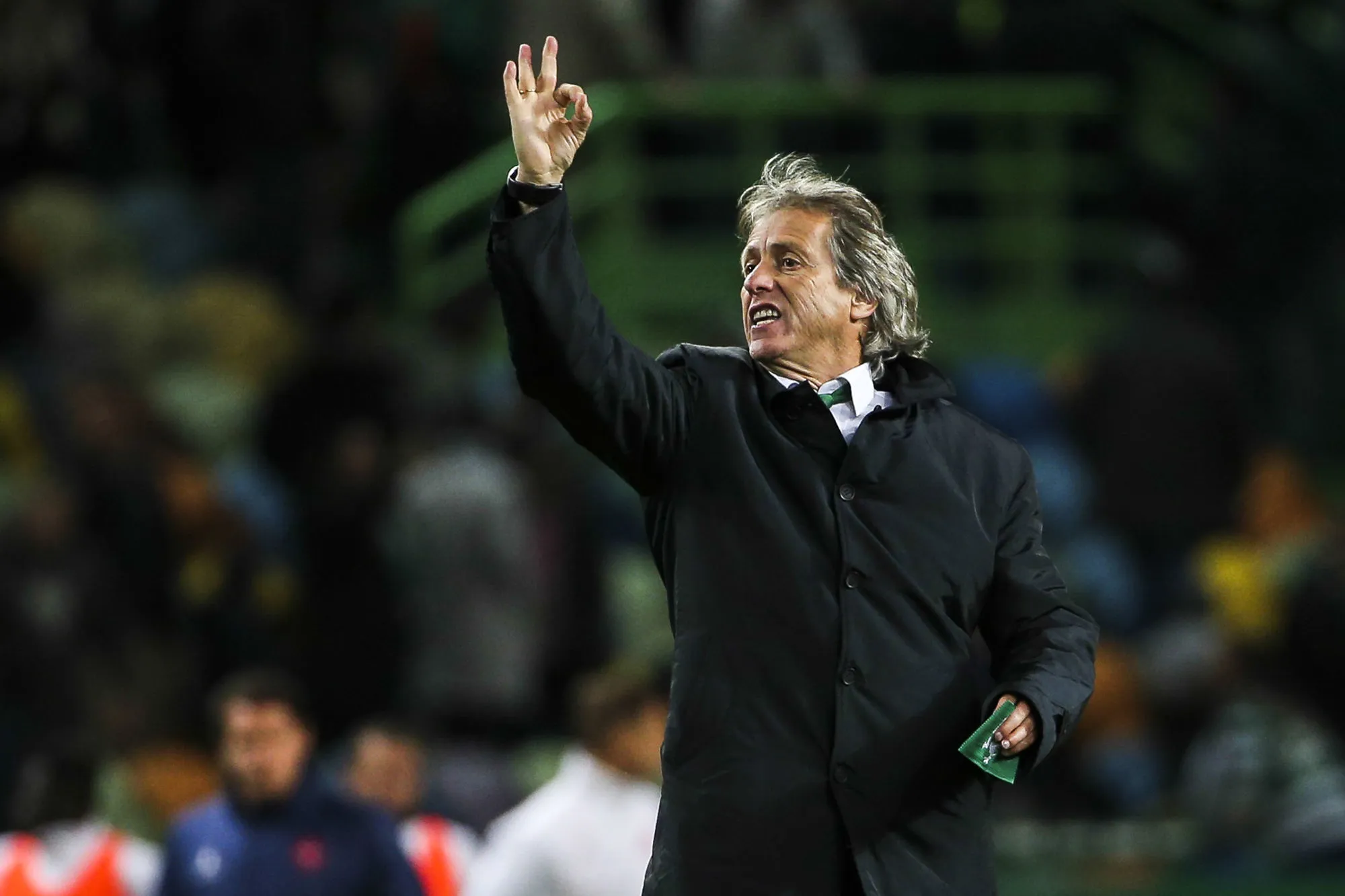 Jorge Jesus de retour à Benfica