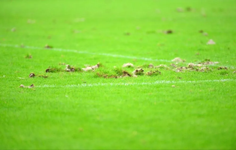 Un joueur écossais quitte son club à cause de la pelouse