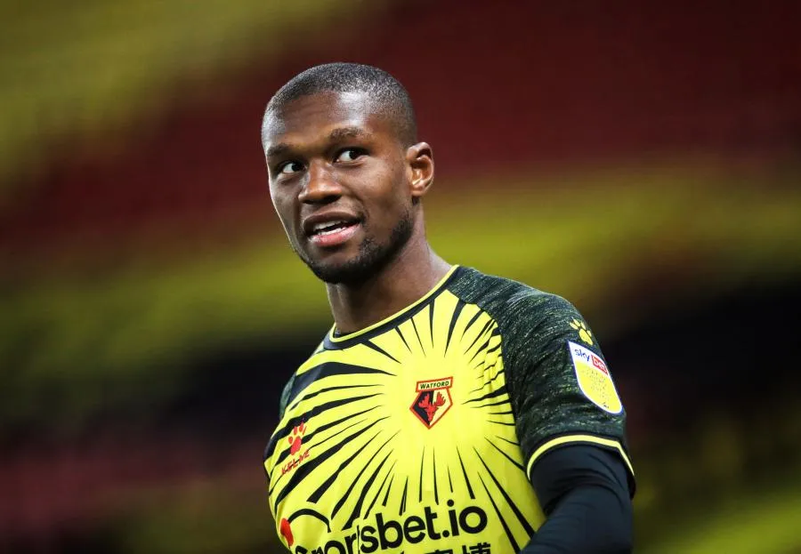 Deux fans de Watford s&rsquo;installent dans un arbre pour voir le match