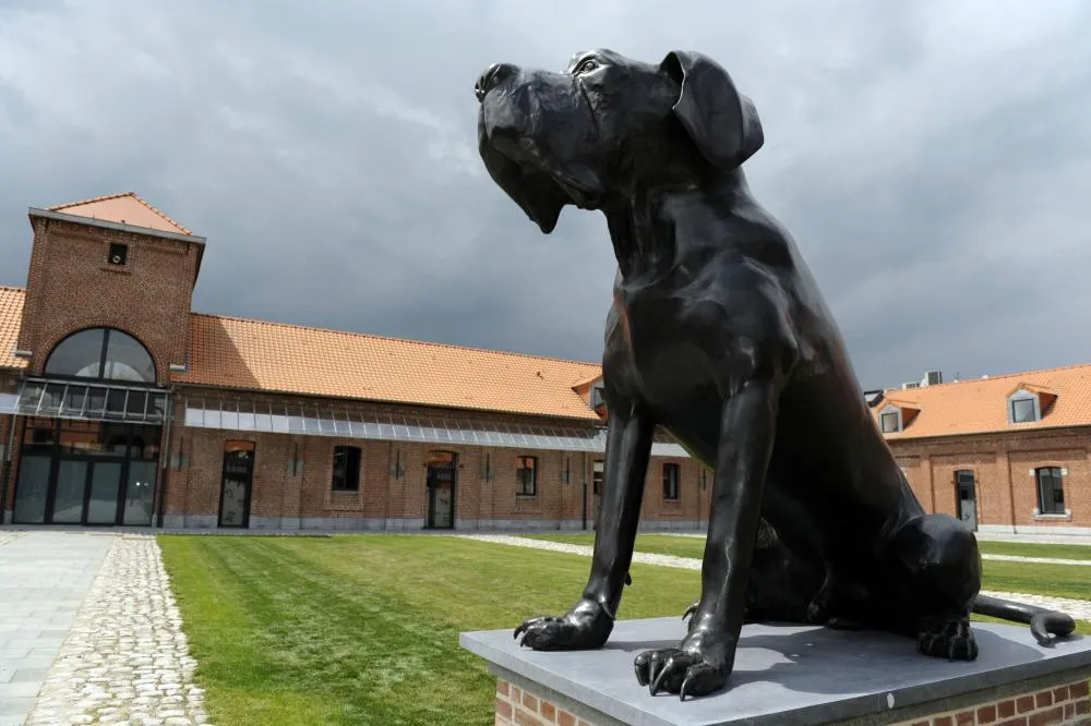 Covid-19 : Lille ferme temporairement son centre de formation