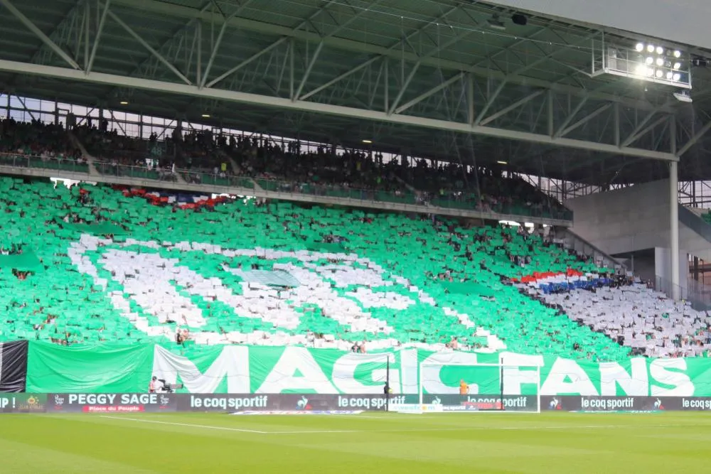 Des supporters de l&rsquo;ASSE coupables de propos racistes