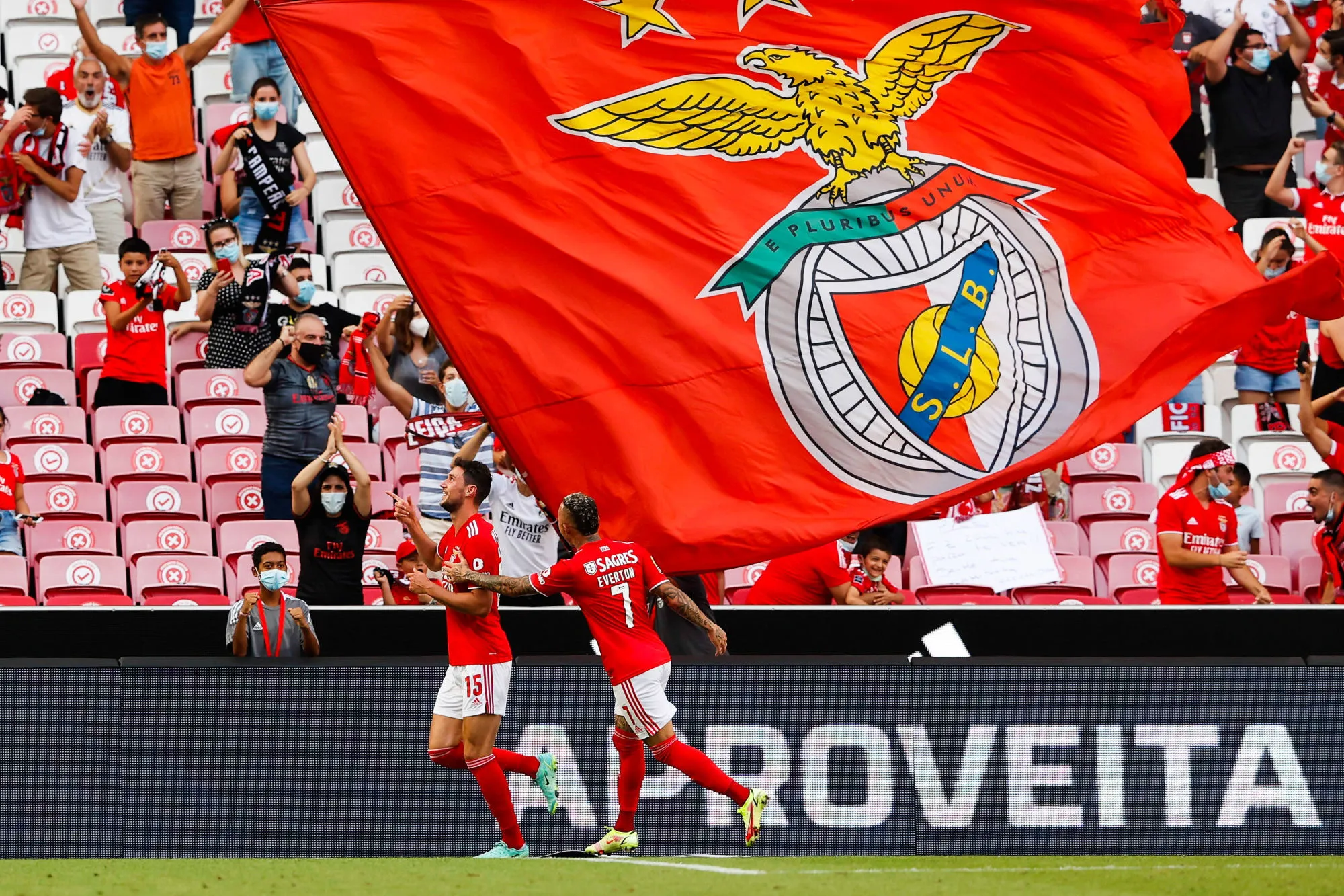 Pronostic Benfica Dynamo Kiev : Analyse, cotes et prono du match de Ligue des Champions