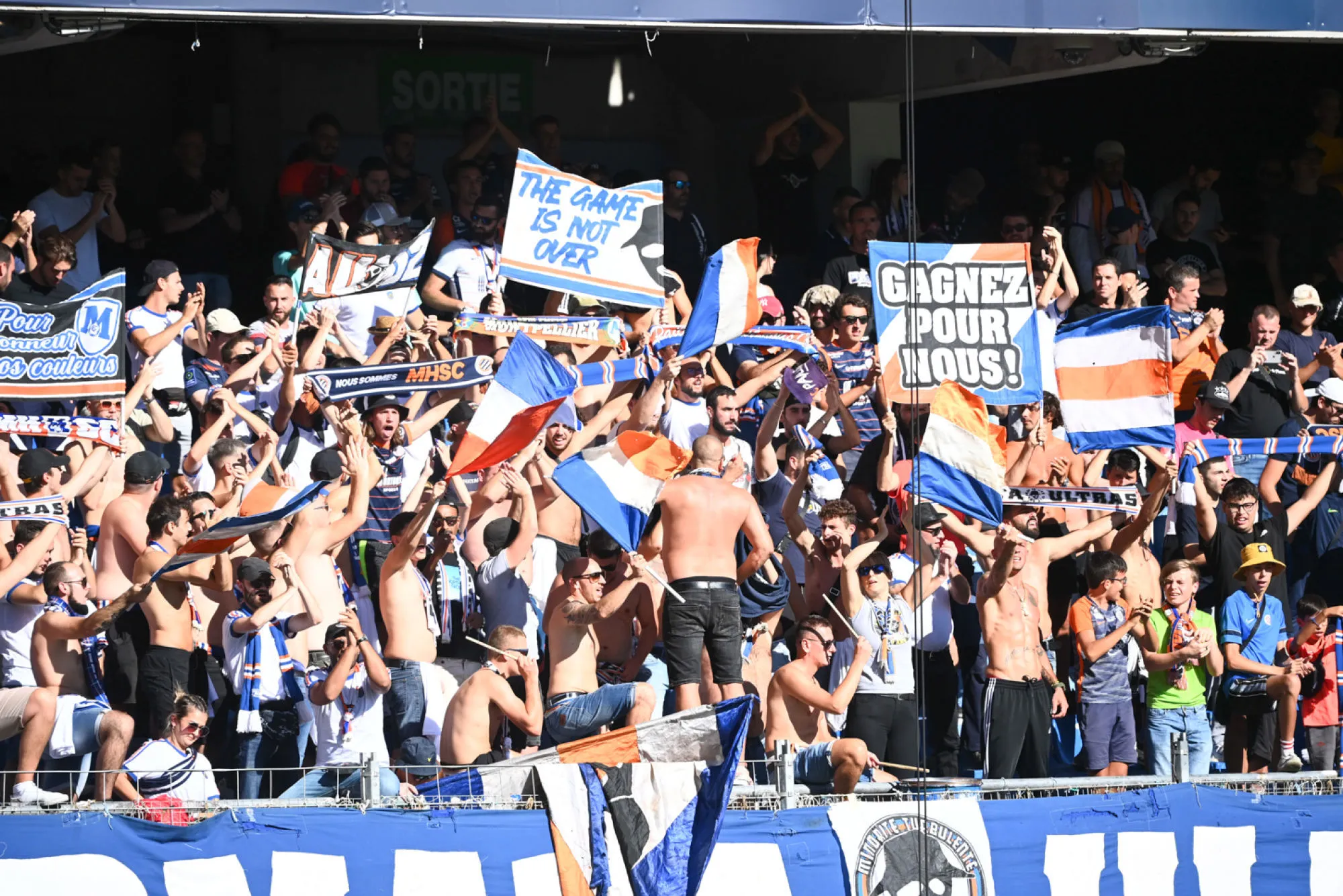 Quinze supporters de Montpellier interpellés après le match à Toulouse