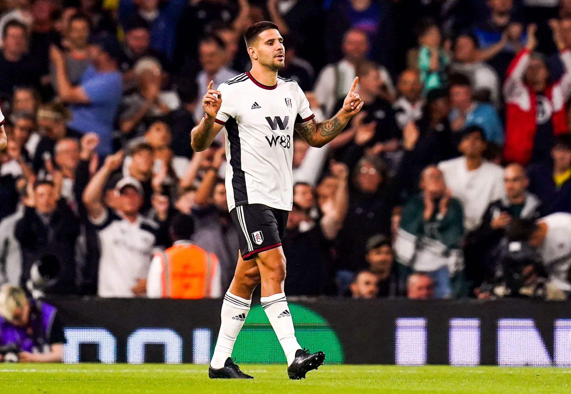 Pronostic Fulham Tottenham : Analyse, cotes et prono du match de Premier League
