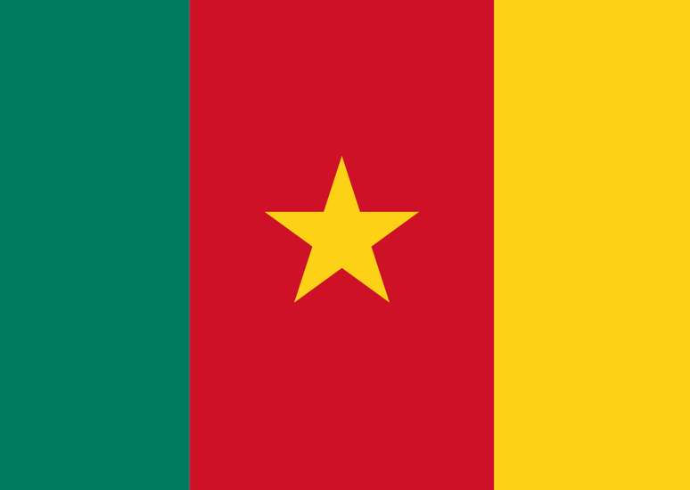 CAN : Le Ministre Camerounais sermonne