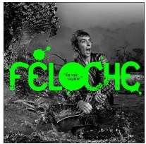 Blog : Feloche &#8211; La vie cajun