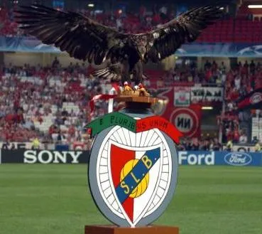 Les aigles du Benfica