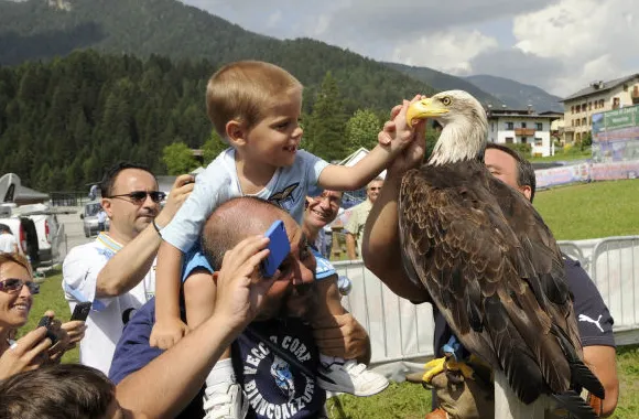 Photo : L&rsquo;aigle et l&rsquo;enfant