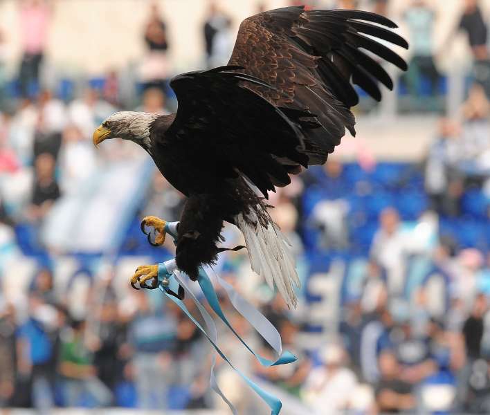 L’aigle de la Lazio vole sur le toit