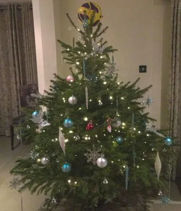 Photo : Le sapin de Gareth