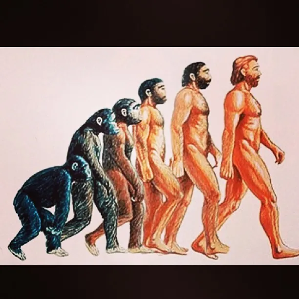 Drogba et le darwinisme