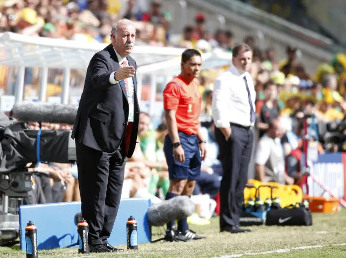 Del Bosque reste à la tête de la Roja