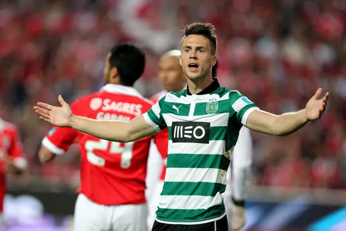 Mais qui es-tu, Ricky van Wolfswinkel ?