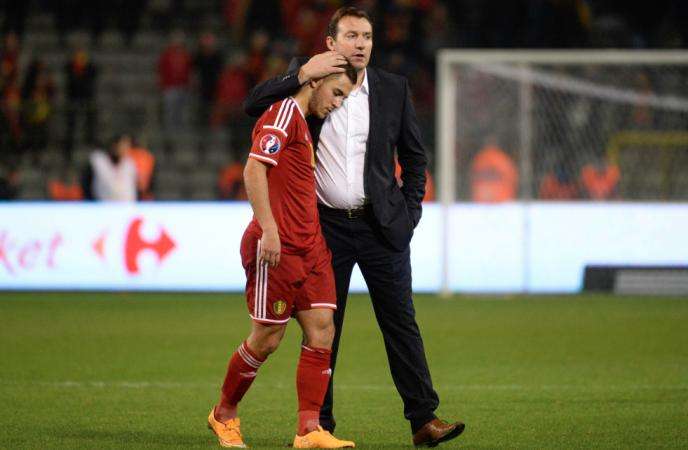 L&rsquo;ordre affectif selon Wilmots