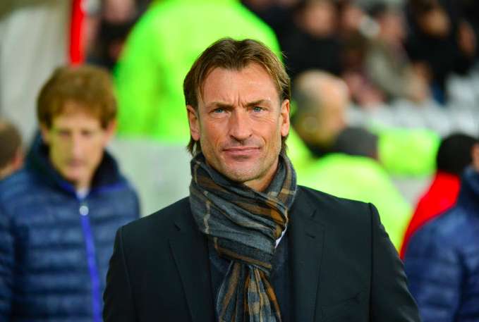 Hervé Renard intéresse Lille