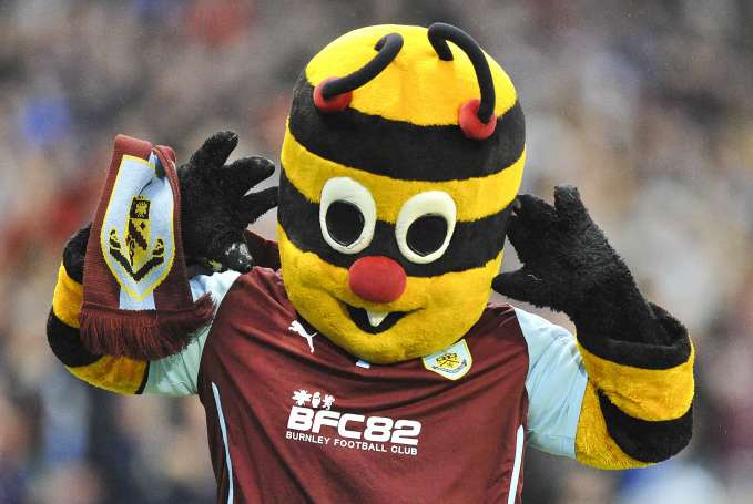 La Premier League et ses mascottes