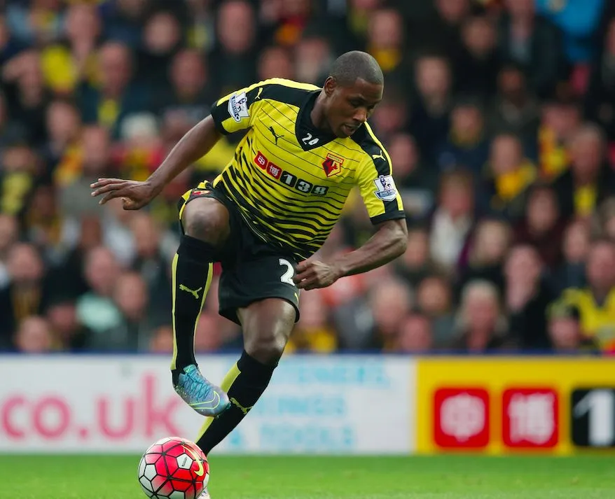 Ighalo, l’aigle de Watford