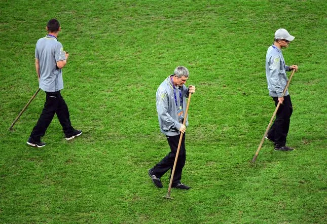 La pelouse du stade Pierre-Mauroy va être changée